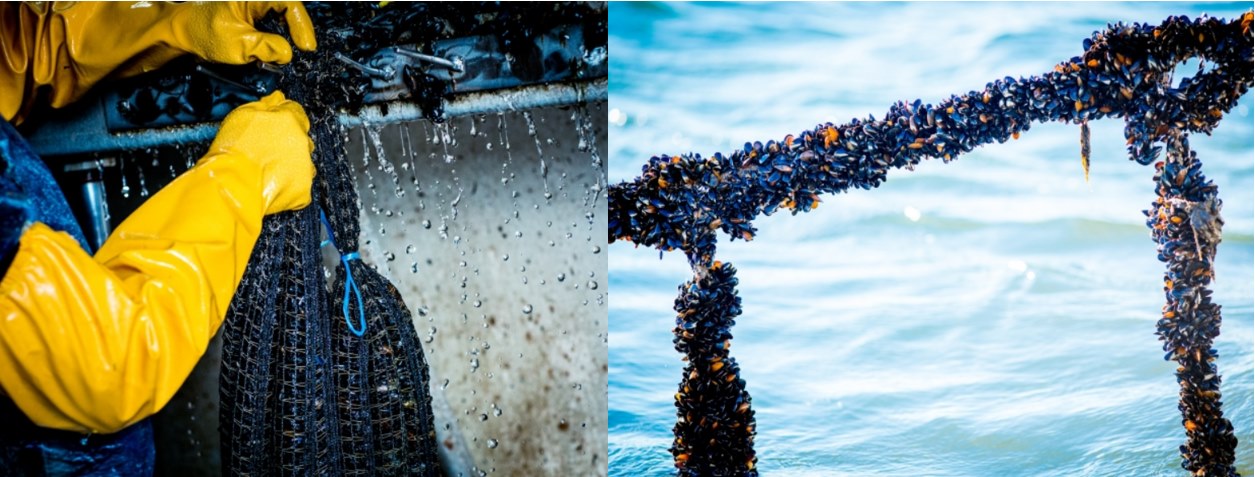 On-site and remote work across the UK